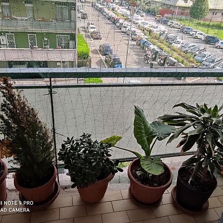 罗马 Da Felicia & Fabrizio酒店 外观 照片