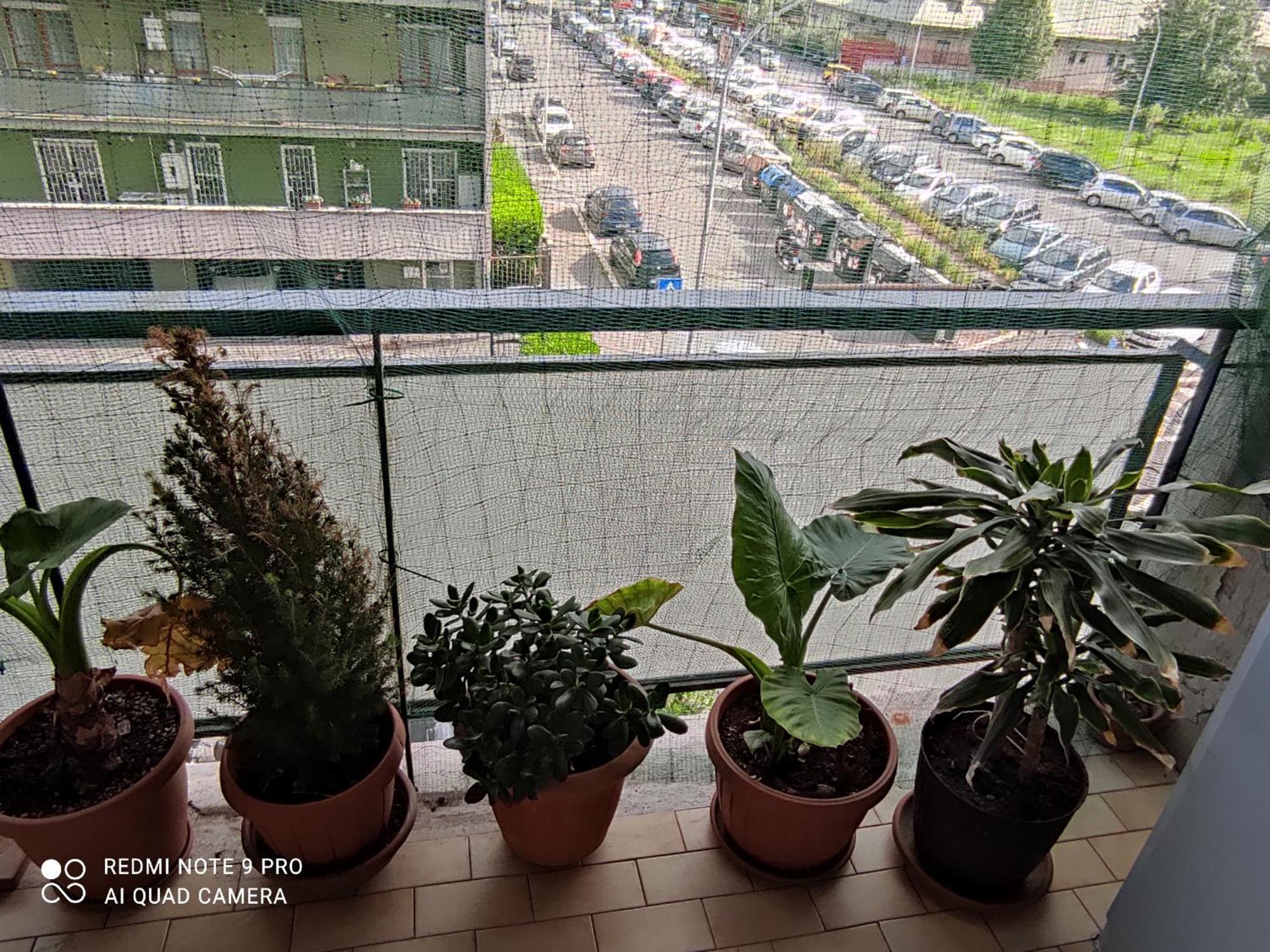 罗马 Da Felicia & Fabrizio酒店 外观 照片